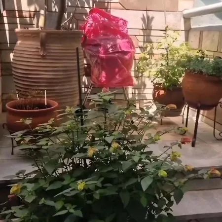 公寓 Sophia 卡瓦拉